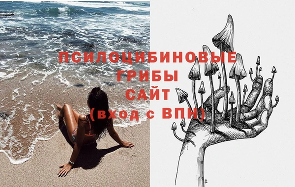 мяу мяу мука Белокуриха