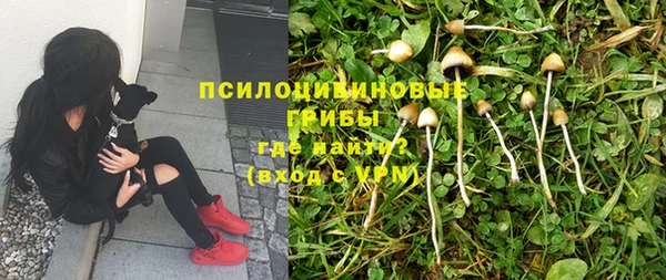 мяу мяу мука Белокуриха